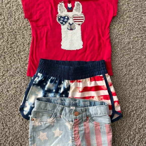 Kids July 4th llama design - Picture 2 of 3